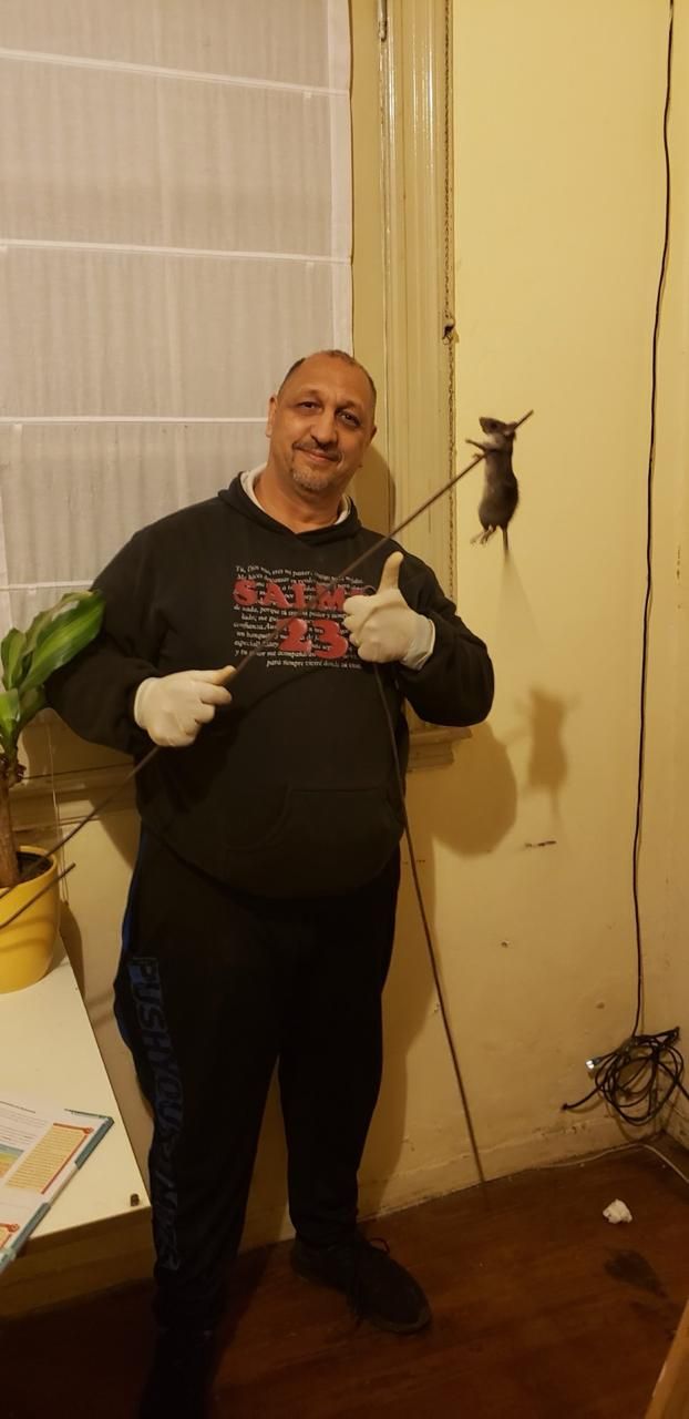 Un hombre sostiene una rata muerta en un palo, levantando el pulgar. Lleva guantes y sonríe en una habitación.