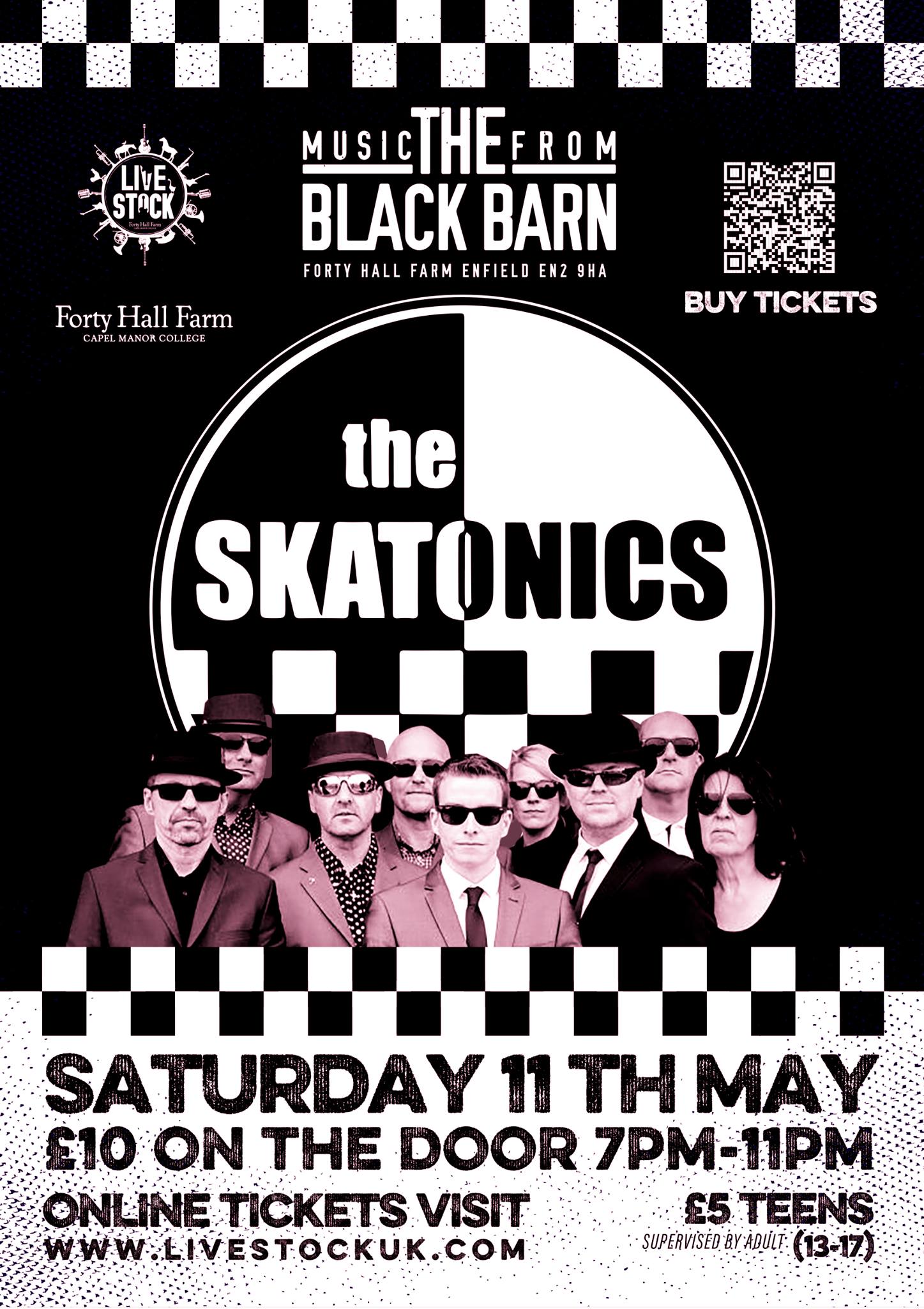 The Skatonics Poster