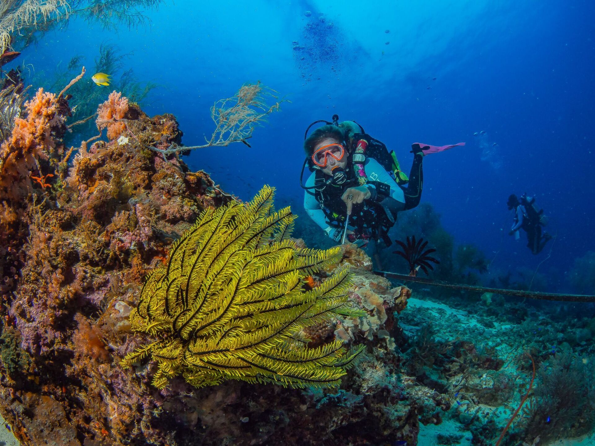 Scuba diver exploring vibrant coral reef at Amun Ini in Anda Bohol.
