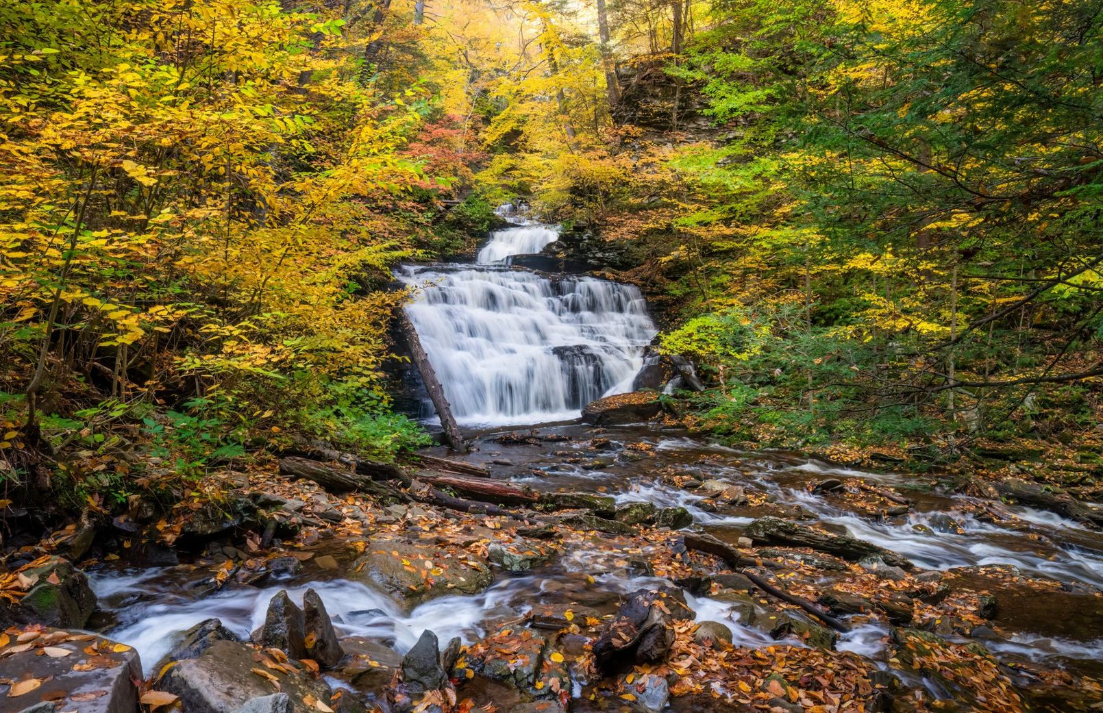 A small waterfall in the middle of a forest surrounded by trees and rocks.