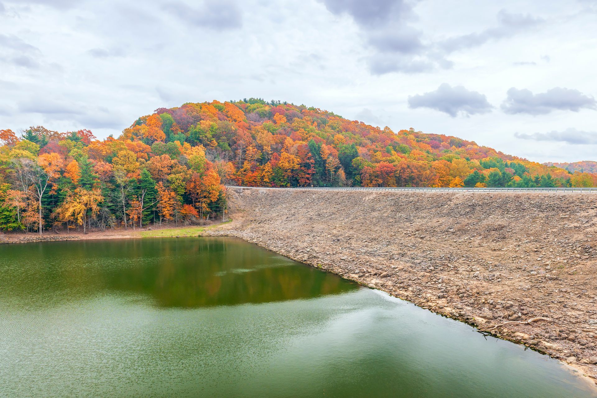 A large body of water surrounded by trees on a cloudy day.