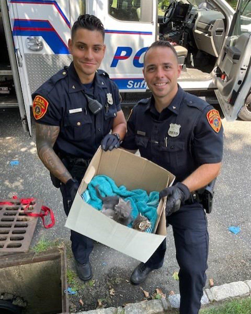 Two police officers are holding a box with a kitten in it.
