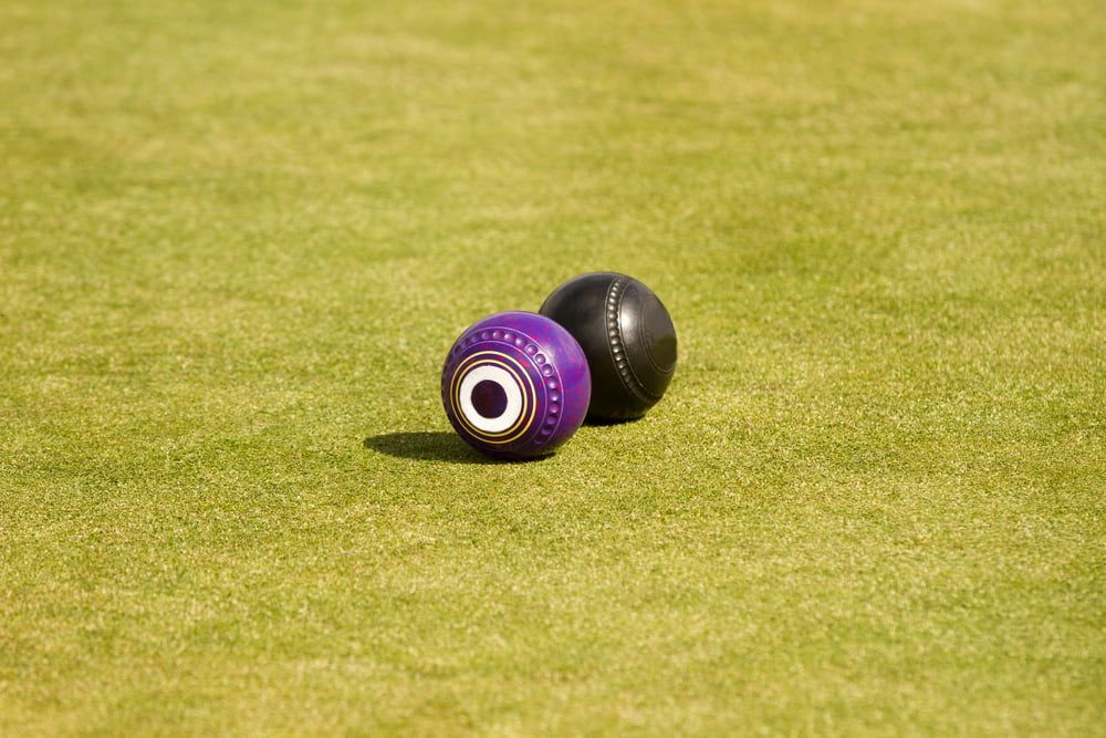 Two Purple and Black Bowling Balls Are Sitting on Top of A Green Field — Pacific Palms Bowling Club In Smiths Lake, NSW