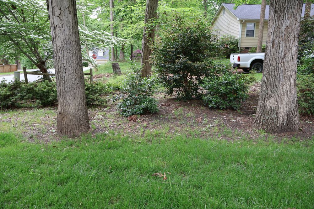 Grassy yard with trees and shrubbery, a white truck, and houses in the background.