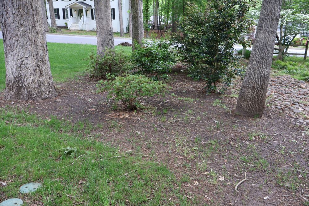 Trees surround a small shrubbery bed in a yard.