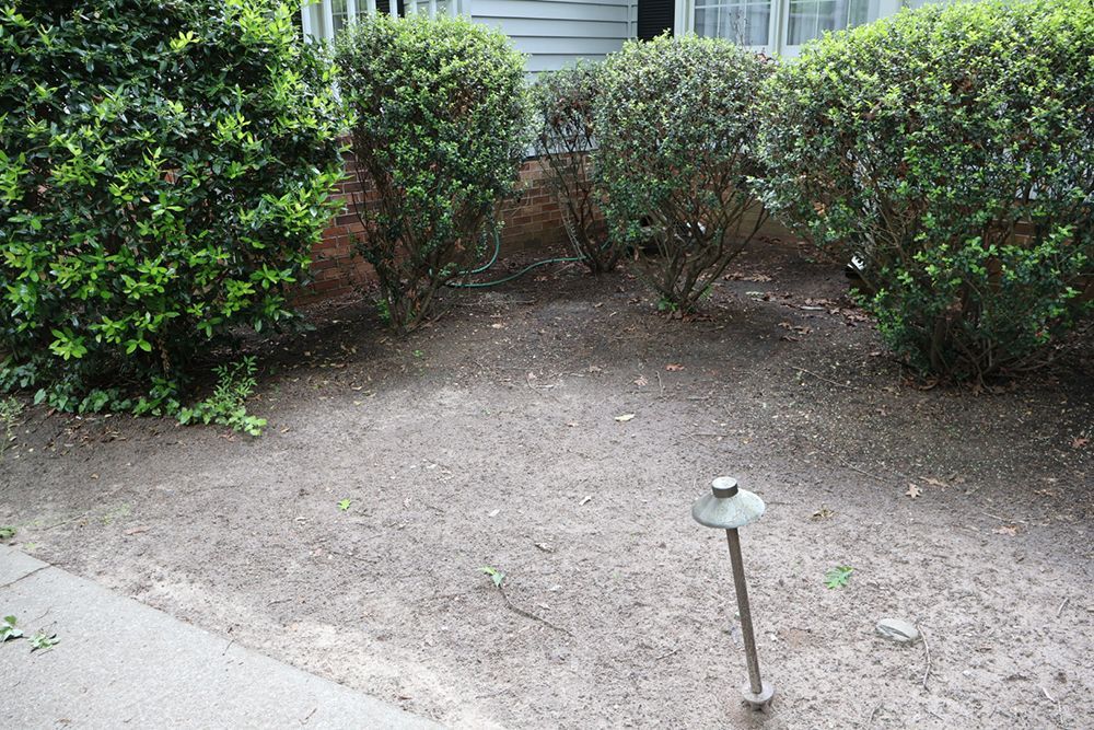 A bare dirt garden bed with bushes and a small pathway, a small outdoor light in the foreground.