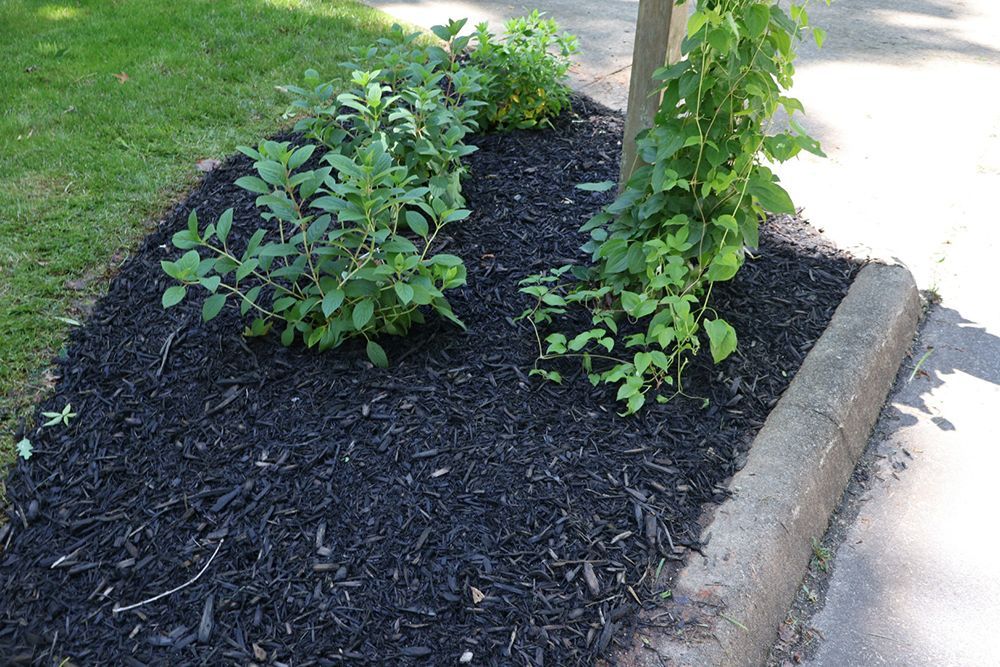Black mulch in a garden bed with green plants next to a curb and grass.