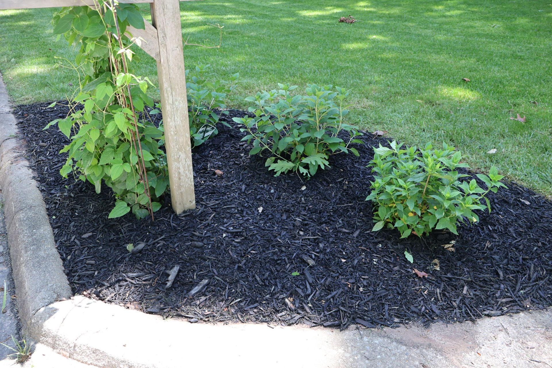 Mulched flower bed with green plants by a wooden post, against a lawn.