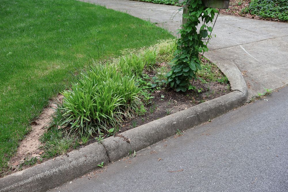 Grassy yard with a concrete curb and a tree trunk covered in ivy.