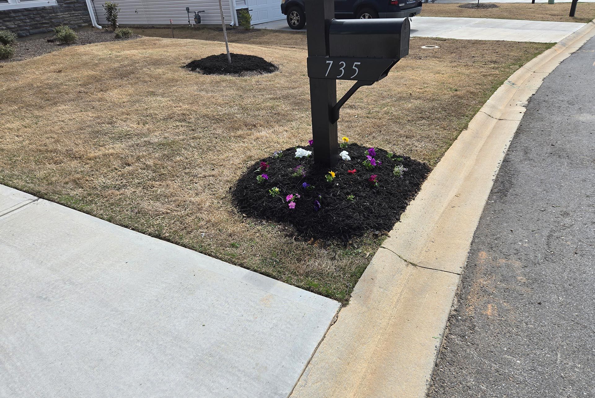 Mailbox with dark mulch and colorful flowers at the base, set in brown grass near a sidewalk and street.
