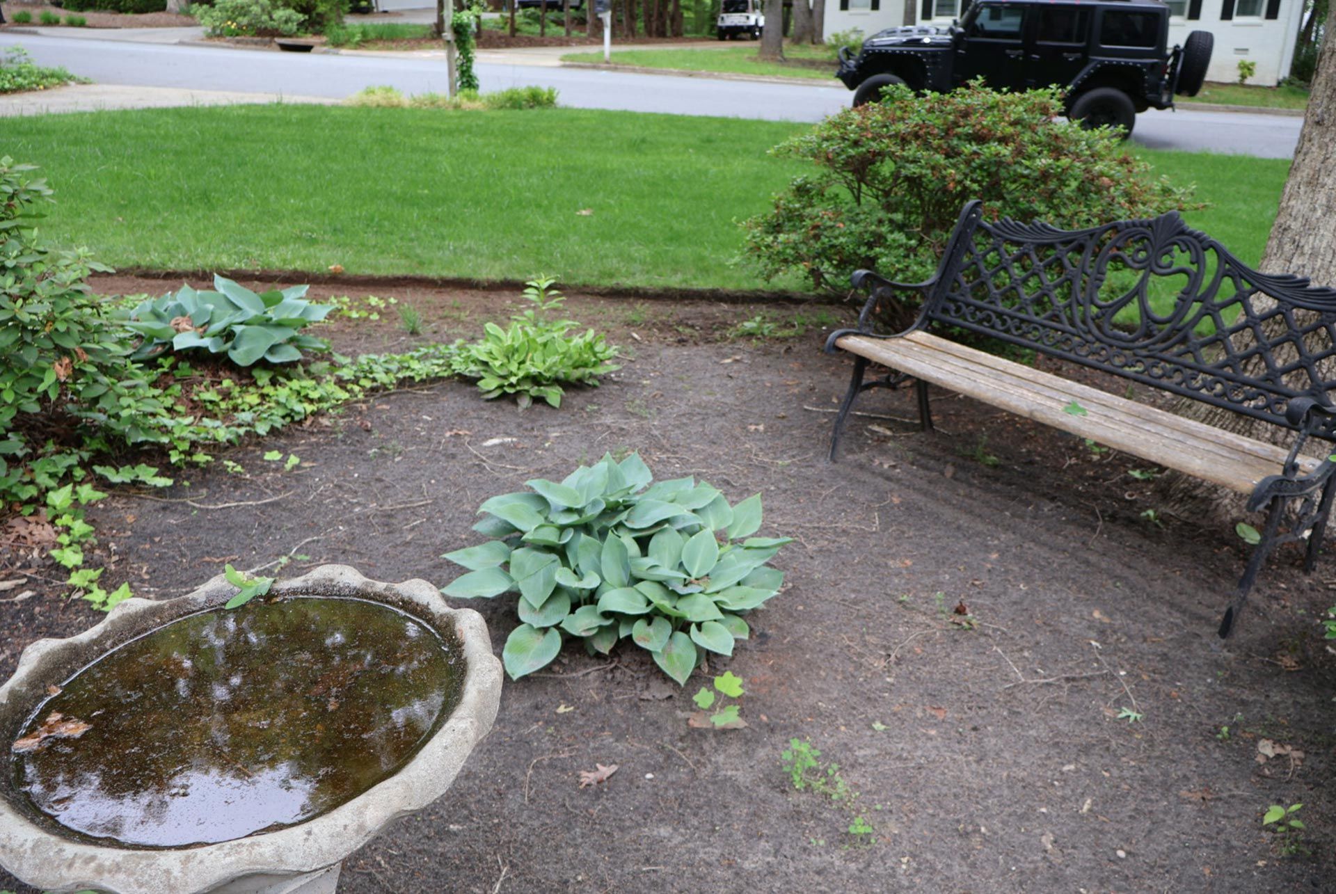 A garden bed with a birdbath, bench, and blue-green plants, next to a lawn and road.