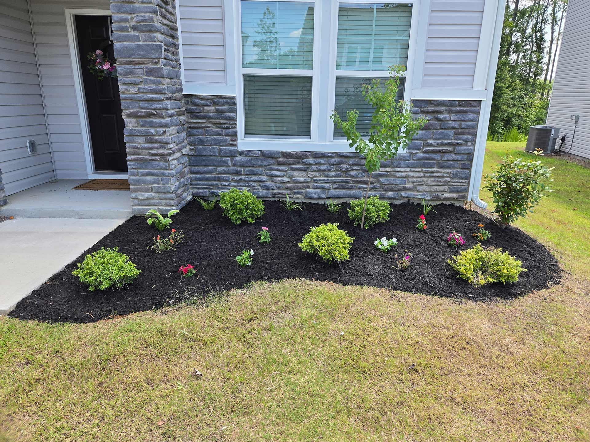 A flower bed with black mulch and green plants in front of a house with a gray stone facade.