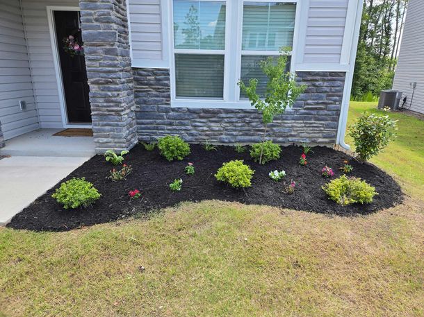 A flower bed with black mulch and green plants in front of a house with a gray stone facade.