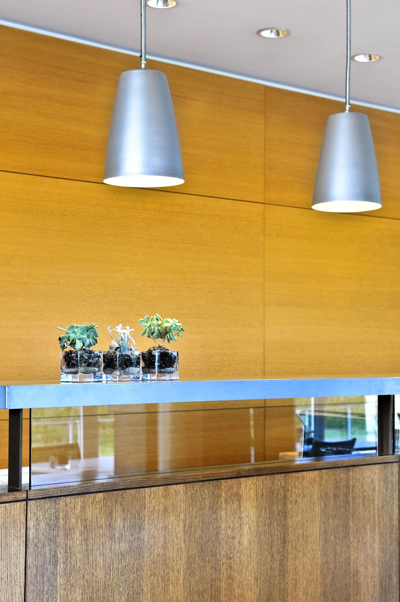 Two silver pendant lights above a wooden desk with potted plants, against a wood panel wall.
