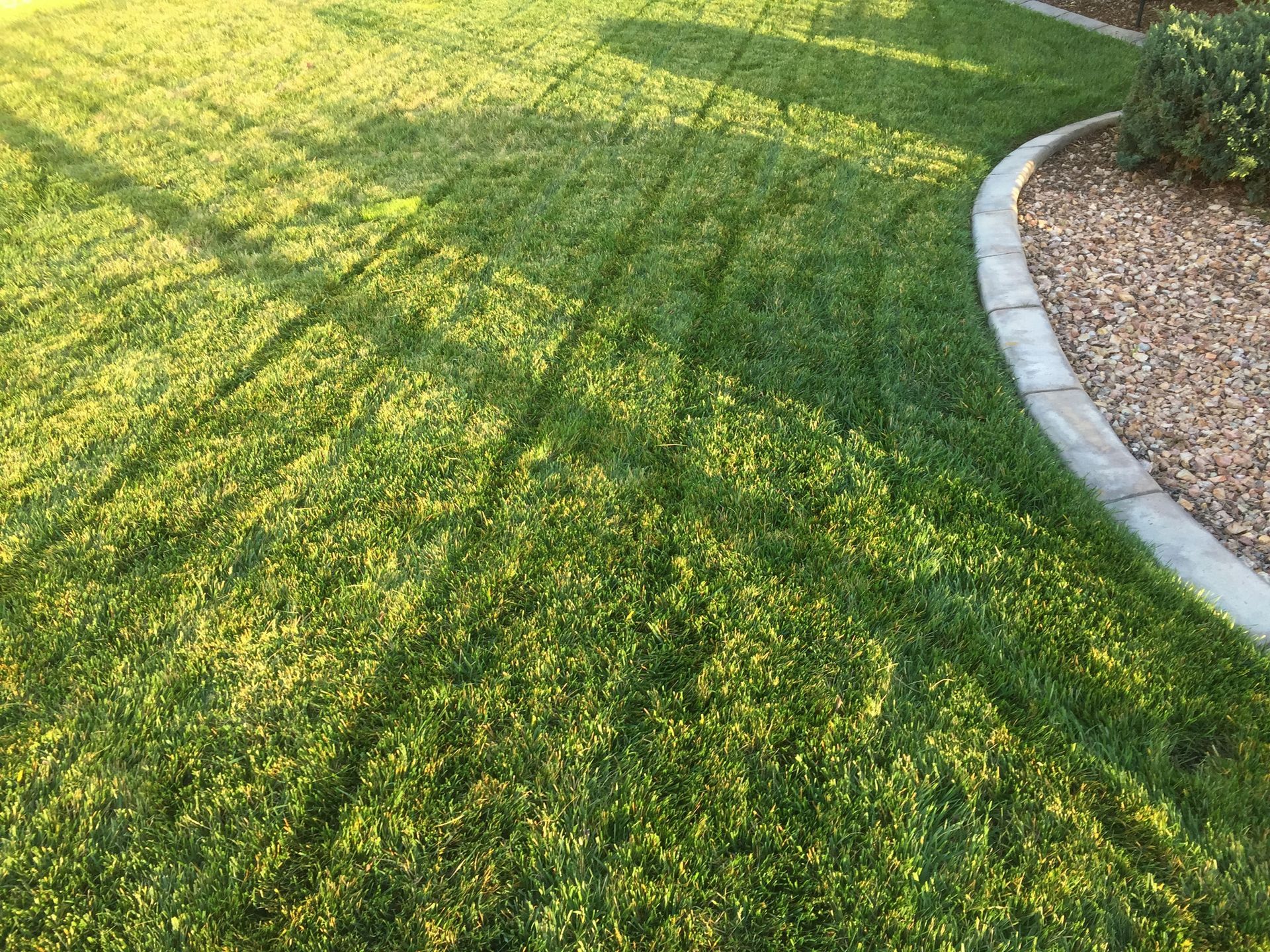 Green lawn with mowing stripes; stone border, sunny lighting.