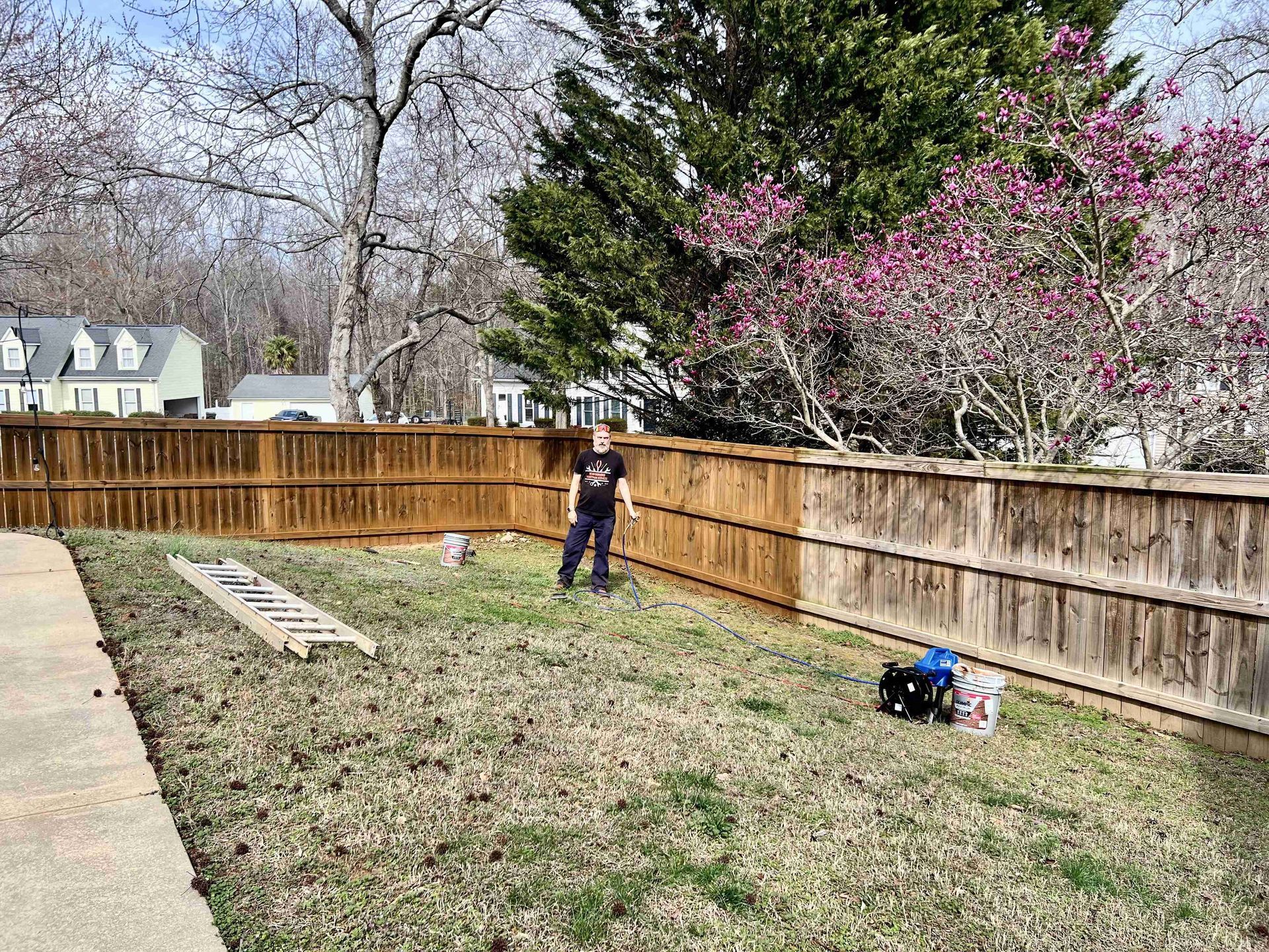 A person stands in a grassy yard while staining a wooden fence, with a ladder and paint supplies nearby.
