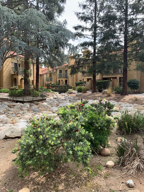 Buildings with terracotta roofs behind a dry creek bed with bushes and trees.