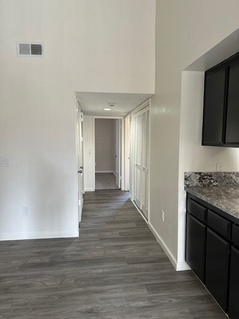 Interior hallway with dark wood-look flooring, leading to a doorway, alongside a kitchen counter and cabinets.