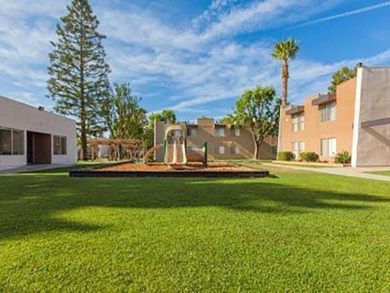 Green lawn with a playground slide, buildings, and a palm tree under a blue sky.