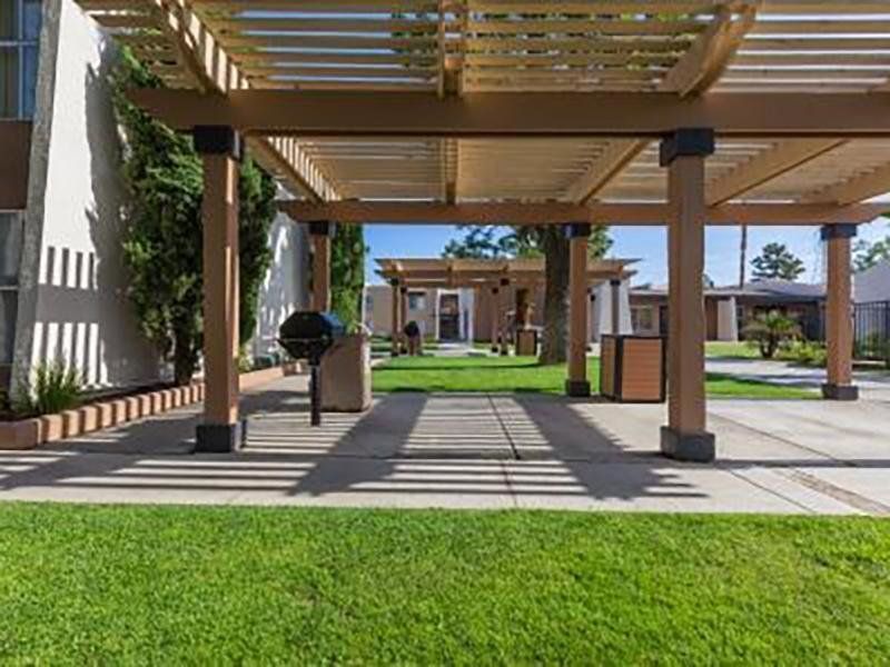 Pergola with BBQ and walkway to other buildings on a lawn.