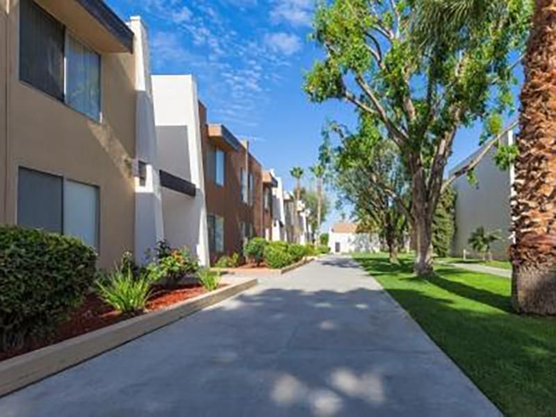 Row of townhouses with a concrete walkway, green lawn, and tall trees under a blue sky.