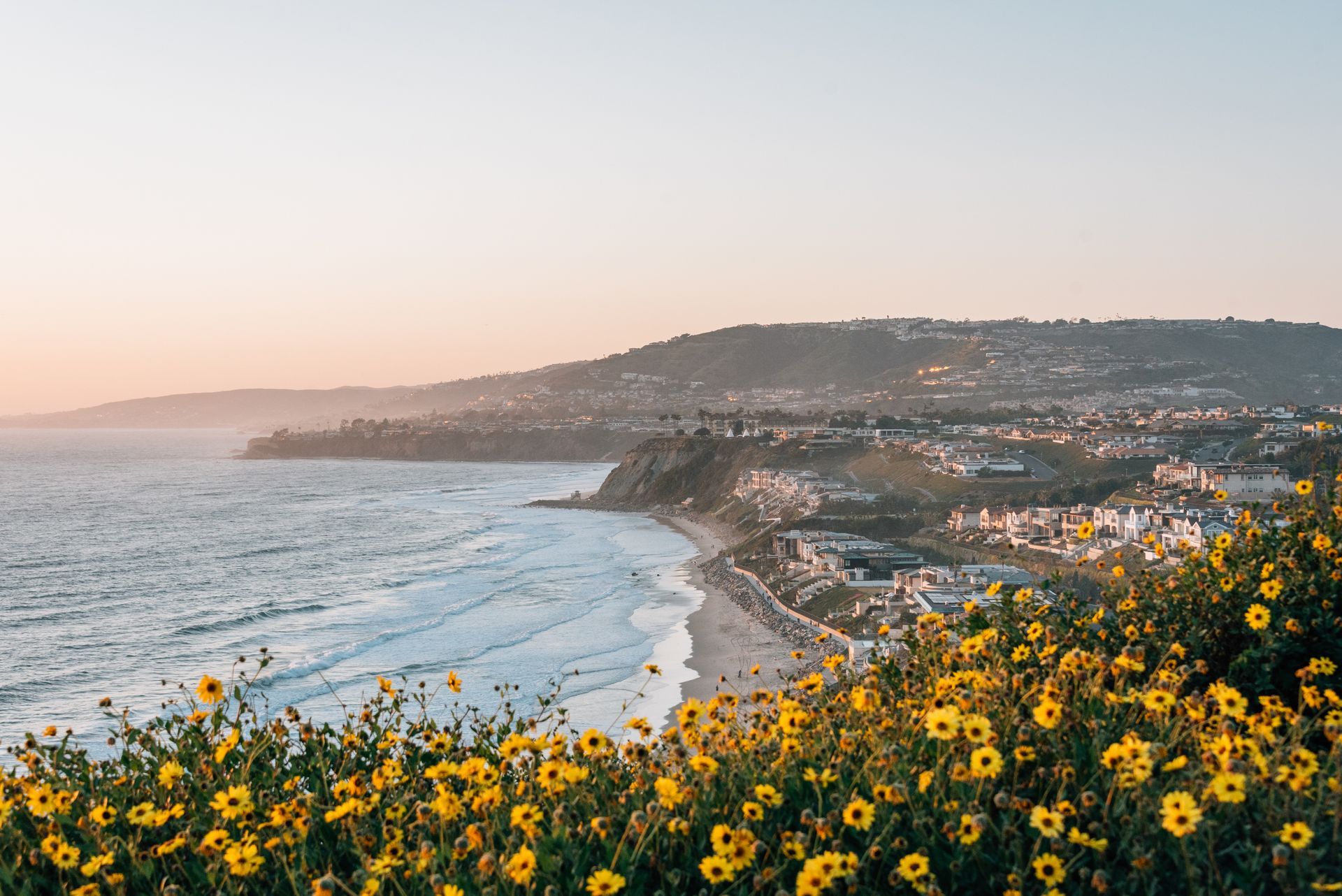 Yellow wildflowers overlook a beach, ocean, and coastal town at sunset.