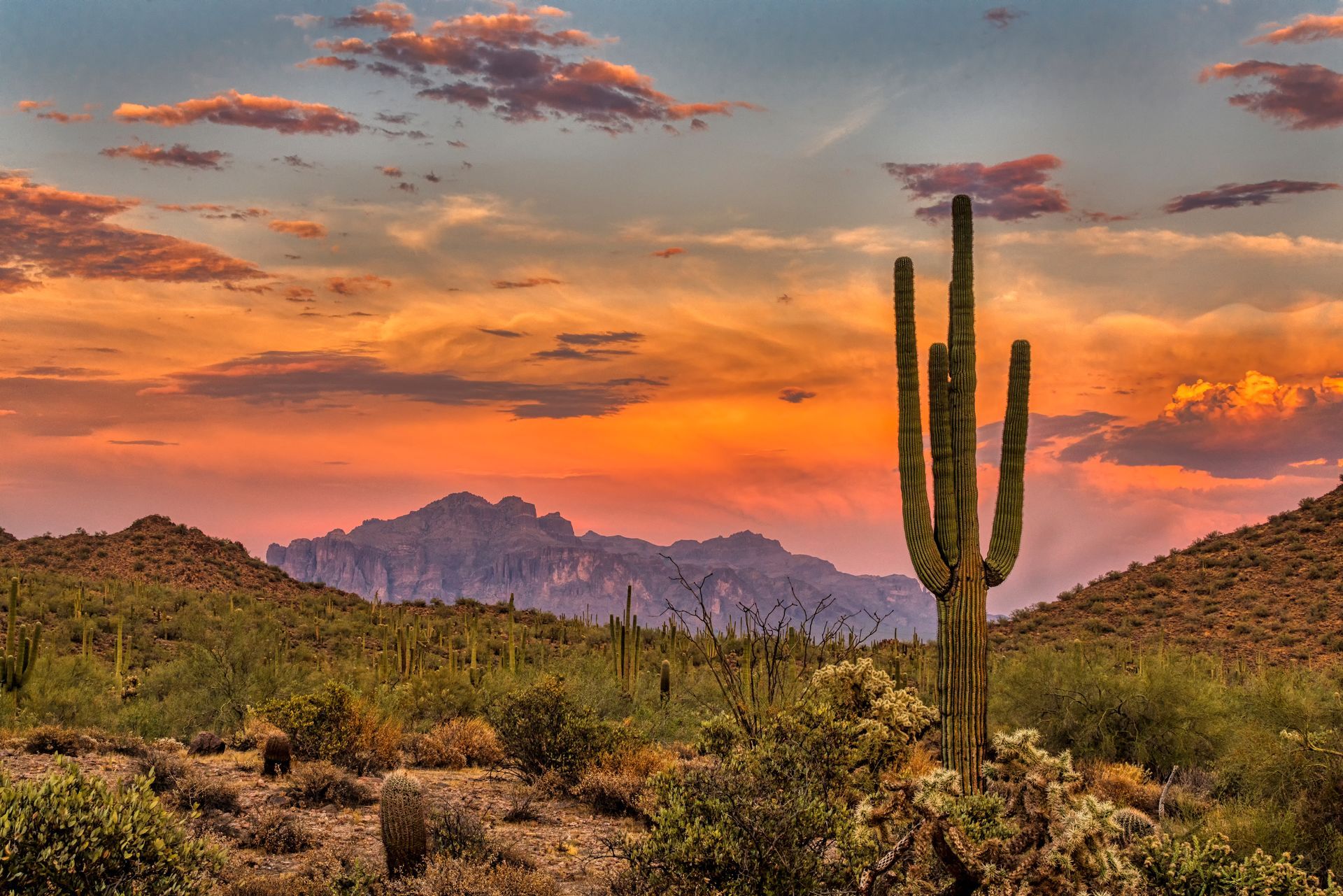 Desert landscape with saguaro cactus, mountains, and colorful sunset.