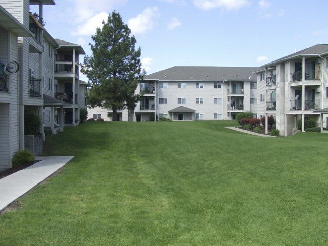 Apartment complex with manicured lawn and mature tree under a blue sky.