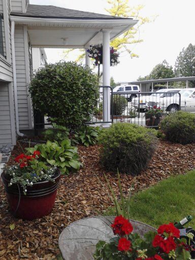 Landscaped yard with red flower pots, bushes, mulch, and a covered porch.