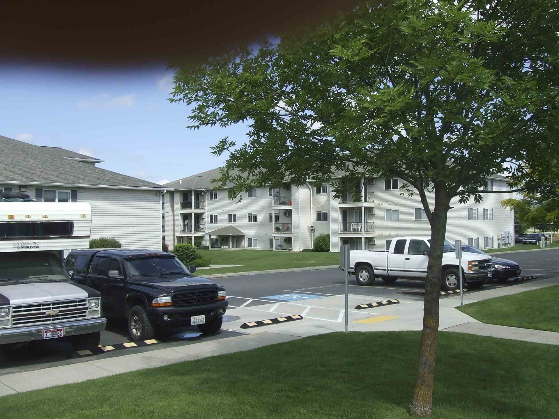Apartment complex with parked vehicles and a tree on a sunny day.