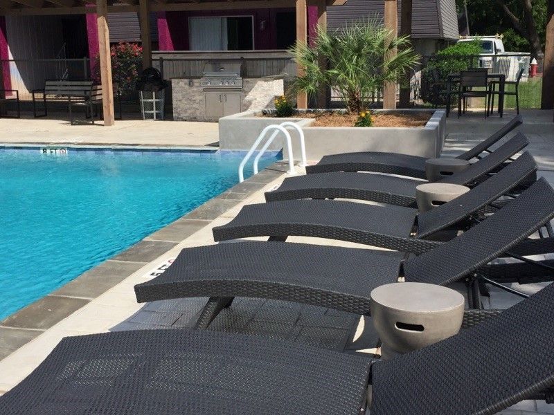 Poolside with lounge chairs. Blue water, white ladder, concrete patio, palm tree.