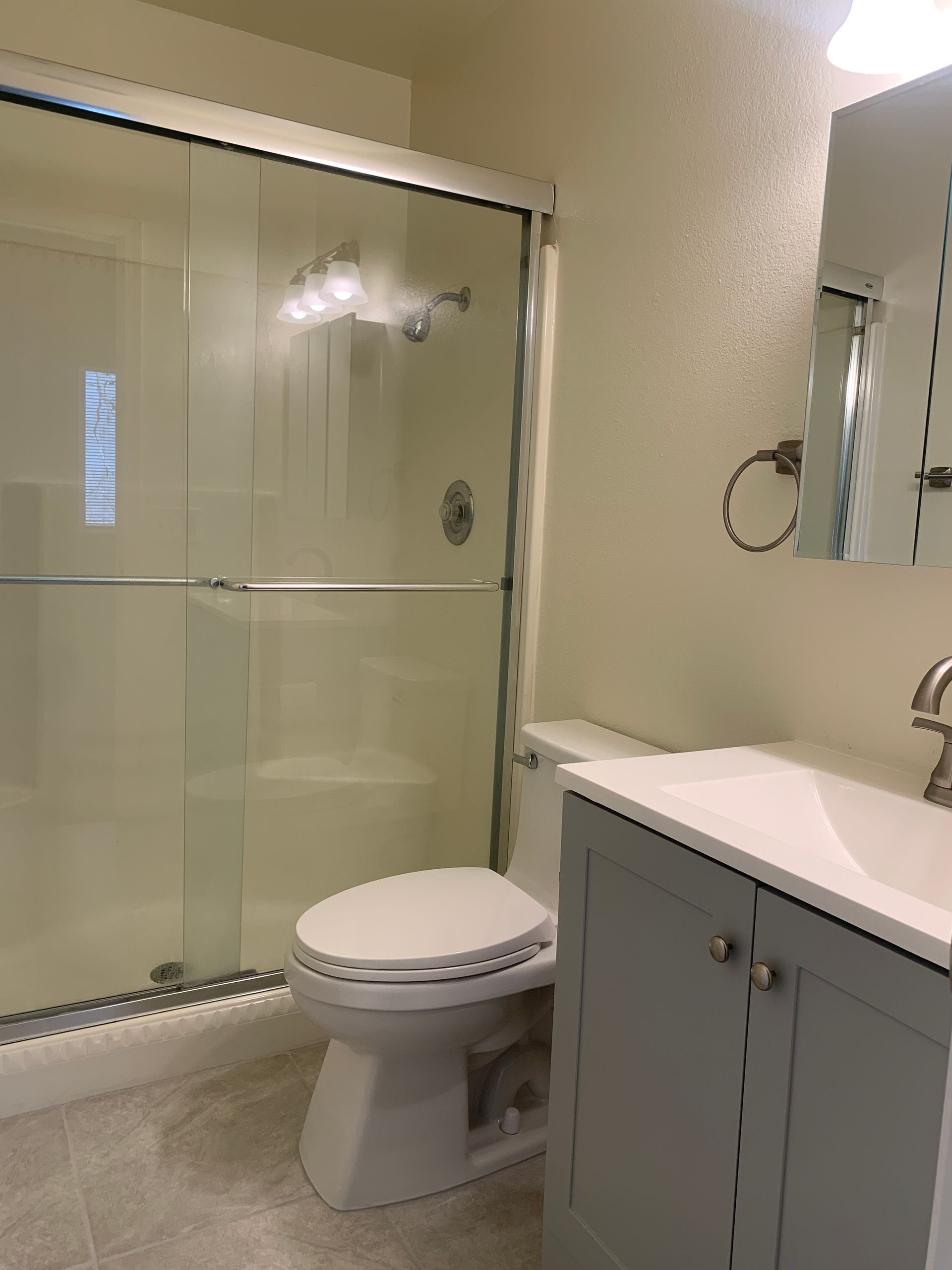 Bathroom with a toilet, shower, and vanity. Gray cabinet, white sink, and neutral-colored walls.