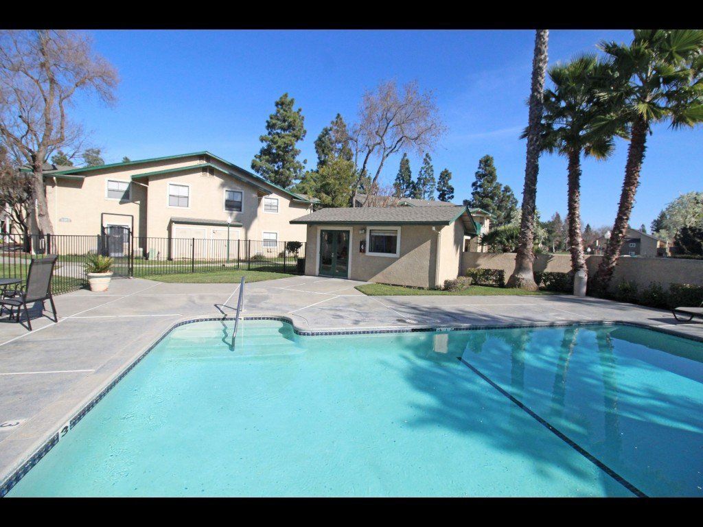 Swimming pool in front of light-colored buildings and palm trees on a sunny day.