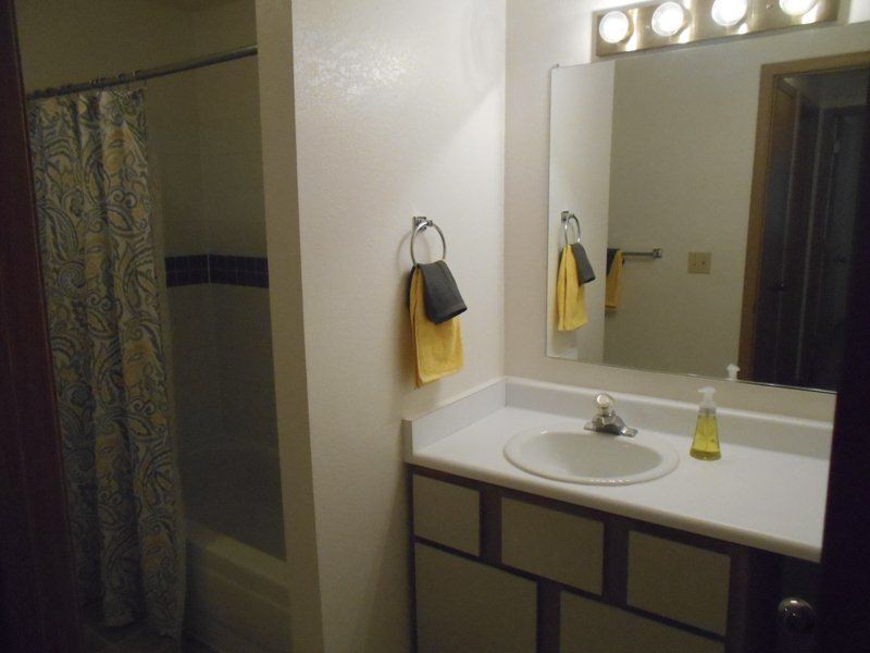 Bathroom with a white countertop, oval sink, mirror, and a shower with a patterned curtain.