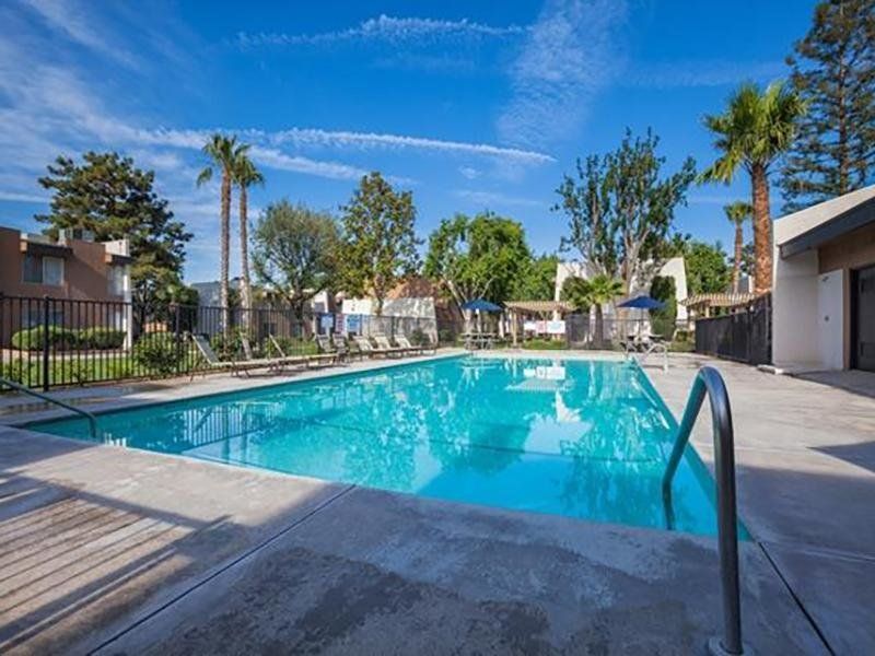 Swimming pool with blue water, concrete deck, palm trees, and clear sky.