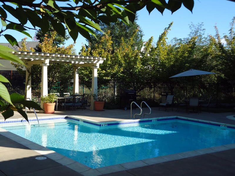 Pool with pergola, umbrella, trees. Sunny outdoor setting with clear water.