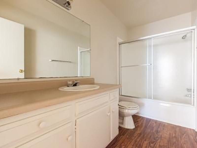 Bathroom with a white vanity, toilet, shower, and a large mirror. Brown wood-look flooring.