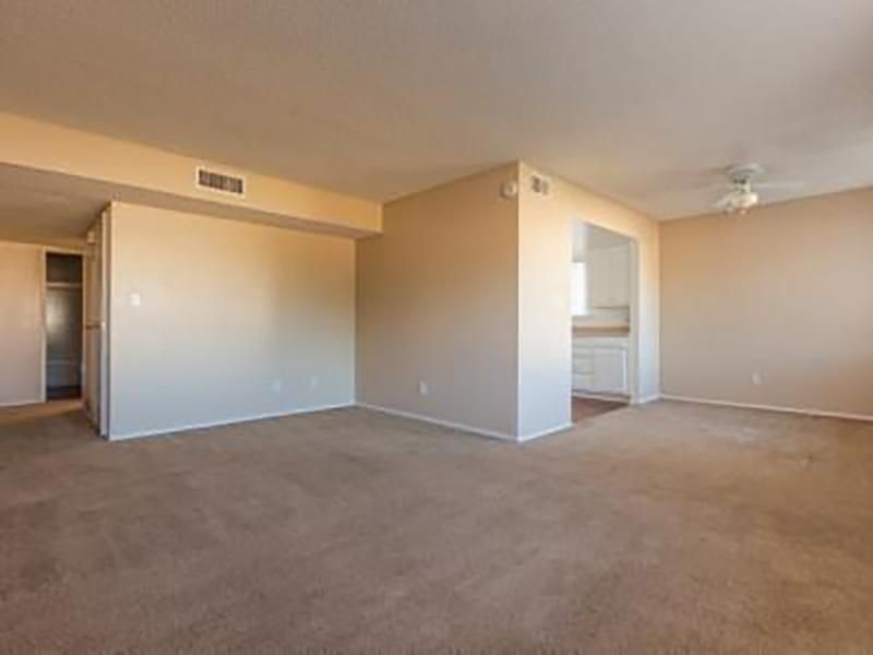 Empty, beige-walled apartment with carpeted floor, hallway, and kitchen opening. Sunlight streams in.