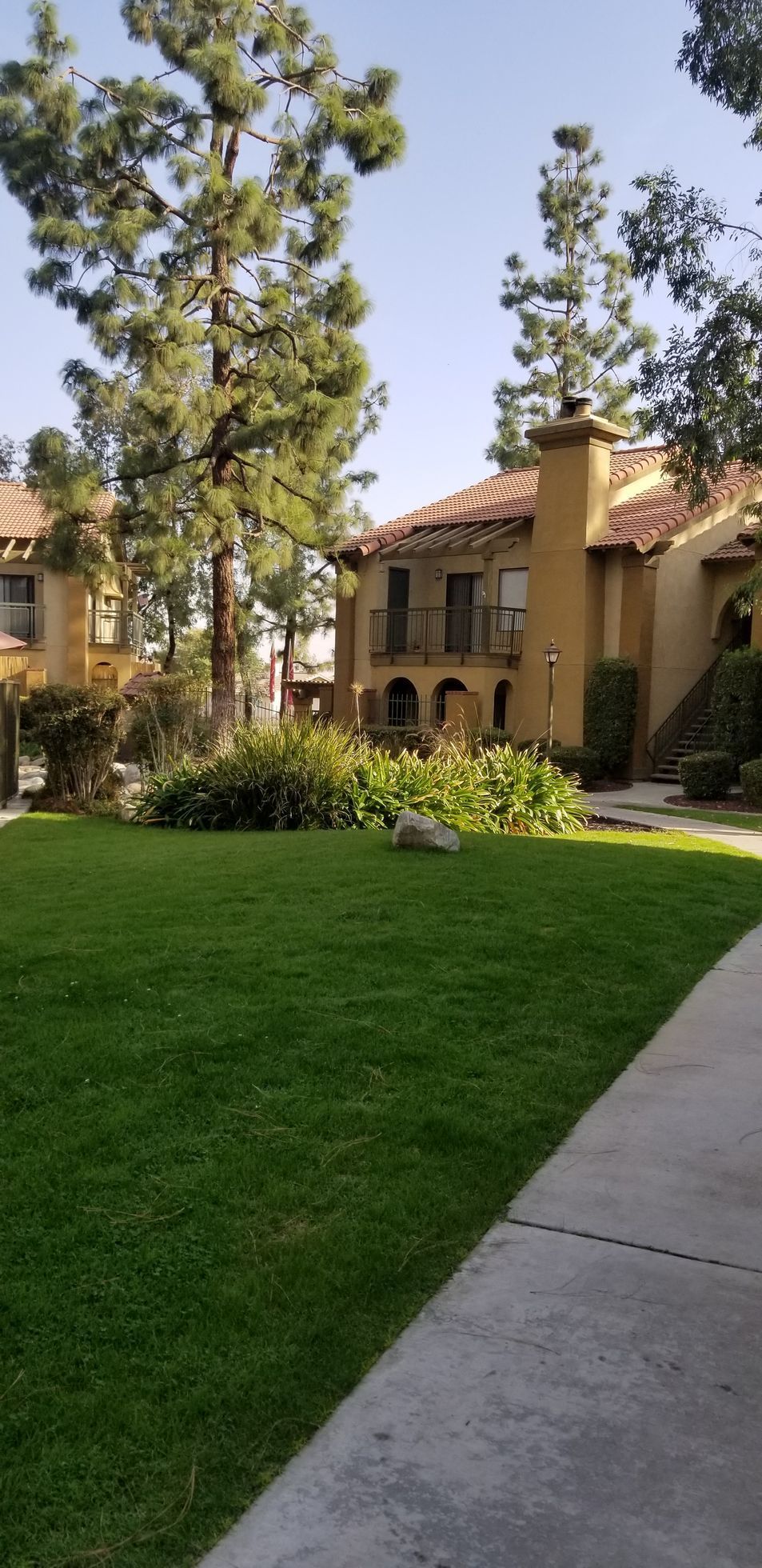 Green lawn and trees in front of buildings with clay tile roofs. Sidewalk on right.