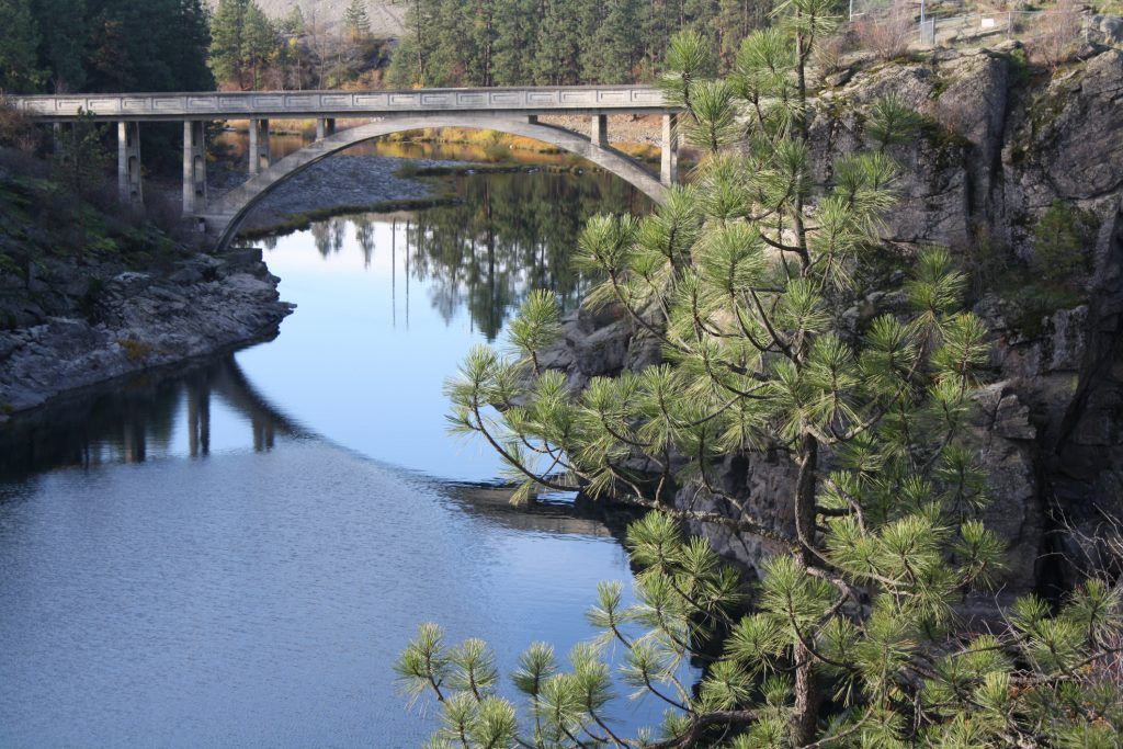 Stone arch bridge over calm water, reflections visible. Pine tree in foreground, rocky cliffs on the right.