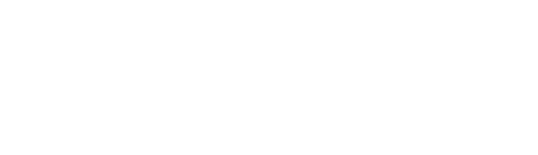 The Villages White Logo
