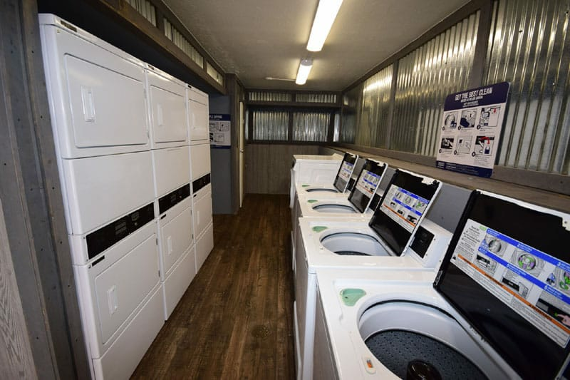 Laundry room with rows of white washing machines and dryers.