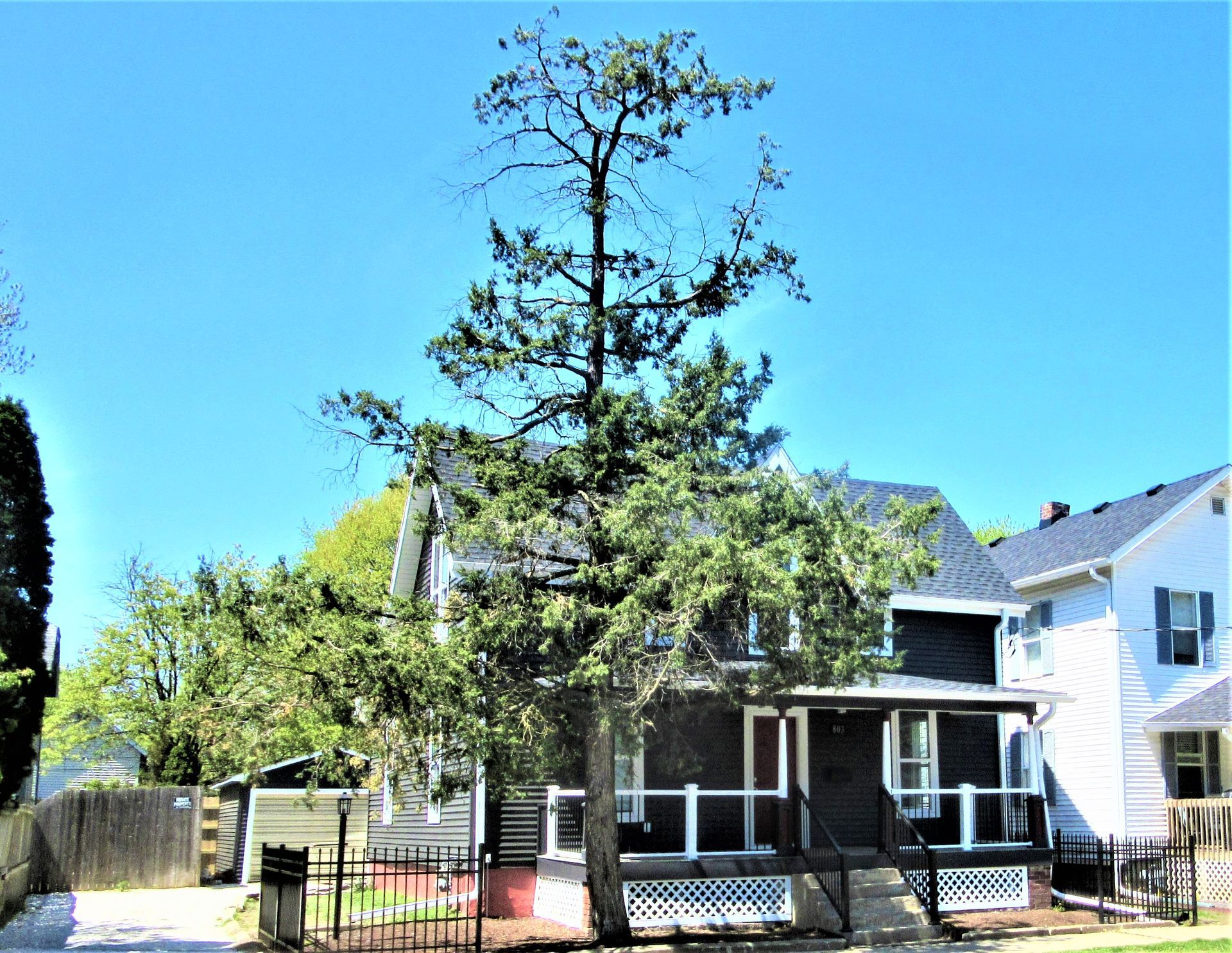 803 N State — Champaign, JL — Renewal Development Inc