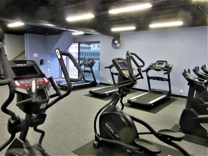 A row of treadmills and ellipticals in a gym