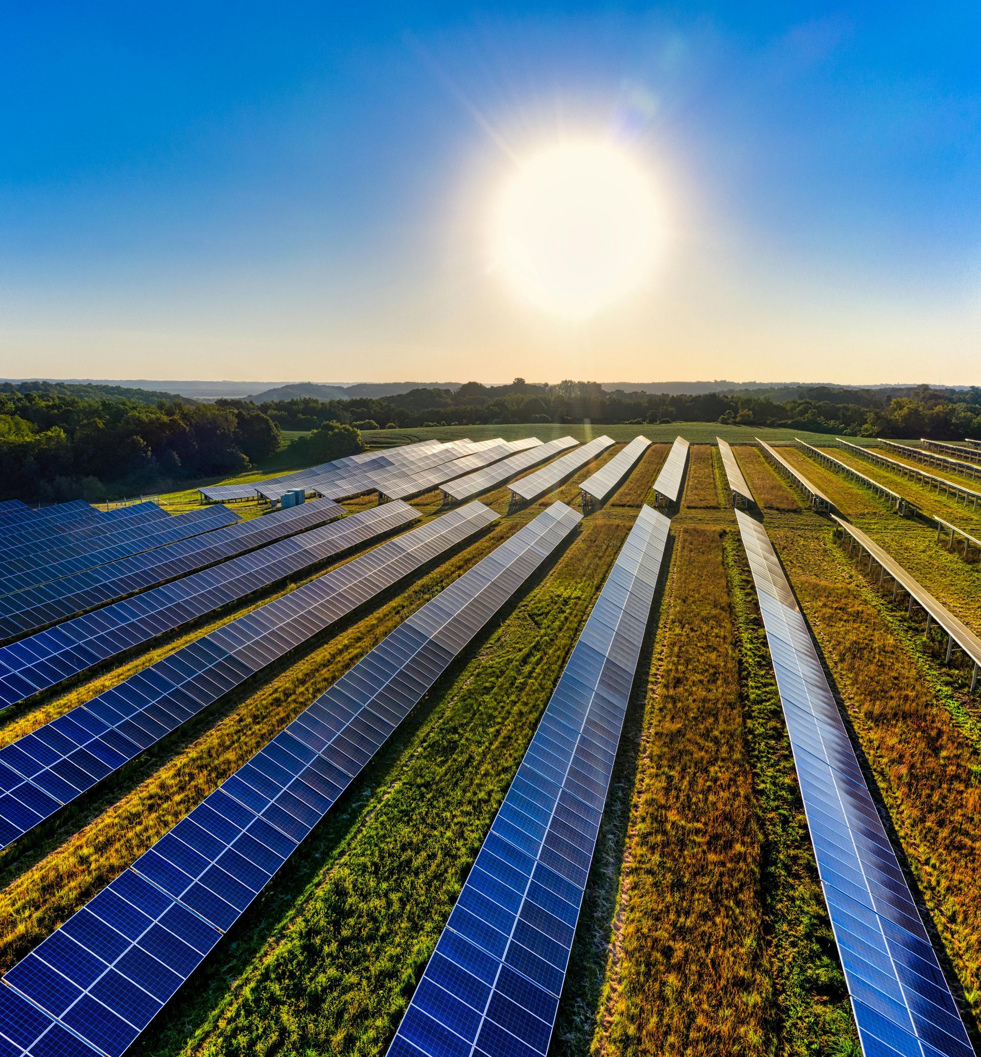 An aerial view of a large solar panel farm under a bright, sunny sky with rows of panels set among green fields.