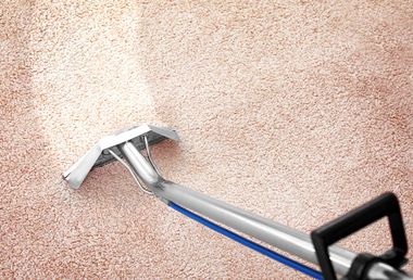 Vacuuming Carpet in the Living Room — Carpet Cleaning in Coffs Harbour