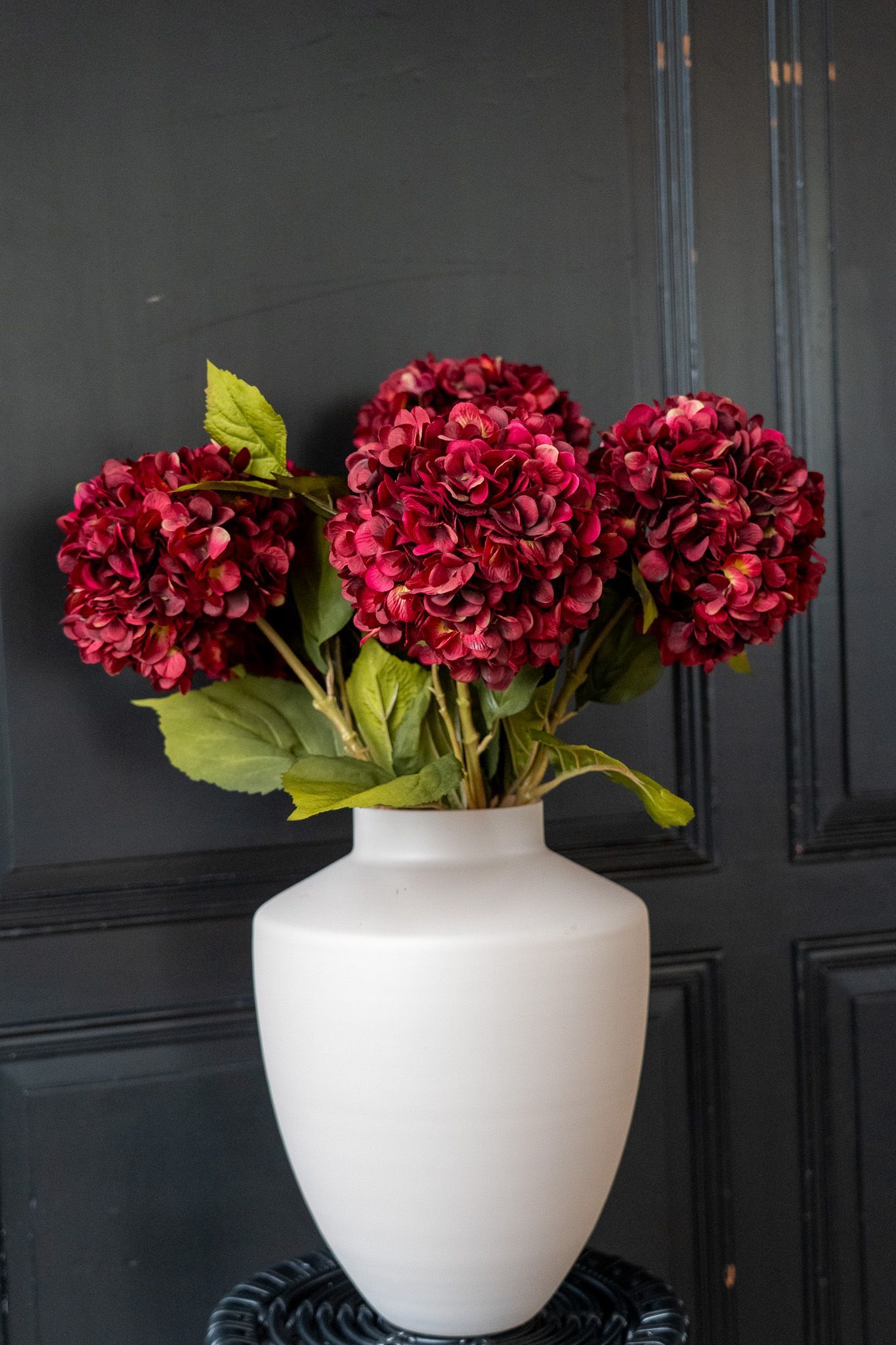 Hortensia bordeaux