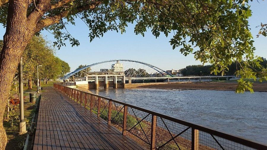 Camino de madera a lo largo de un río con un puente a lo lejos, bajo un árbol.