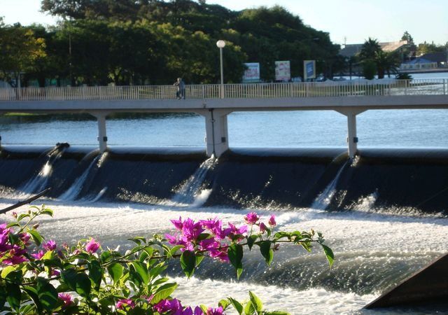 Presa con agua fluyendo, puente encima, flores rosas en primer plano, edificios y árboles en el fondo.