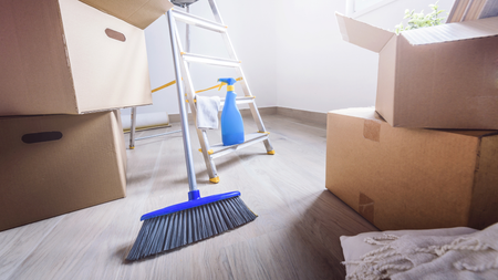 move-in/move-out cleaning